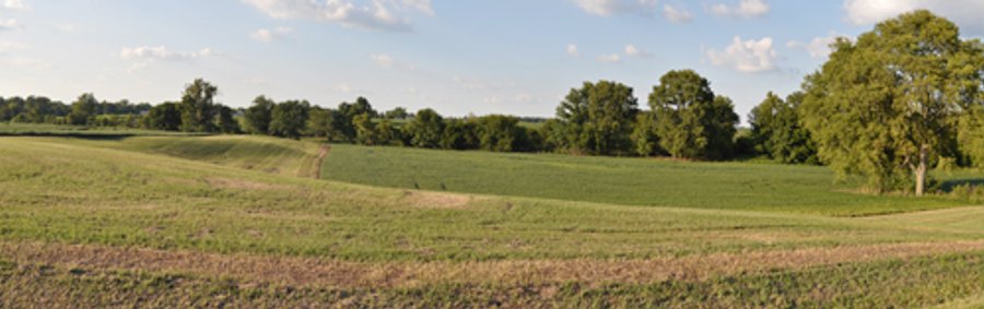 204.5 +/- Acres Offered in 3 Tracts - Farmland Auction